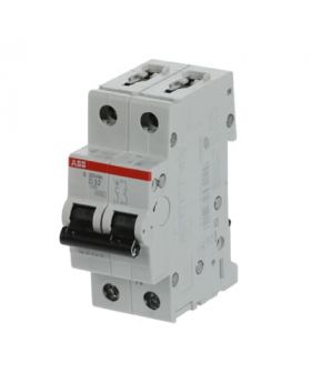 INTERRUPTOR AUTOMATICO 1P+N x 32A D 6/10kA S201N